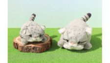 ブルーブルーエジャパン、「世界最古の猫」ともいわれるマヌルネコのぬいぐるみ2種を発売