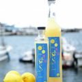 鞆の浦リモンチーノ 〜 完熟レモンの旨みと香りが凝縮した新しい特産品