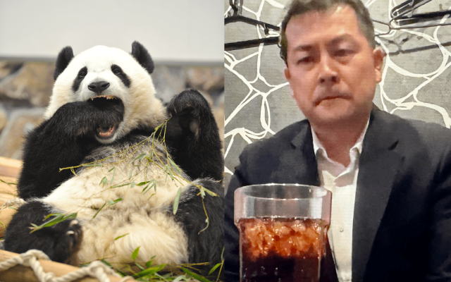 “パンダ全頭返還”和歌山県白浜町に新たな激震！ 最年少町議の不倫相手が遺書を残してガス自殺していた