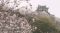 城山公園でサクラ満開　館山市の花見スポット