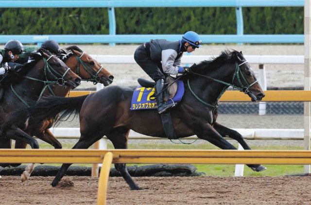 Amazon.co.jp: 調教師の本 4 Retired Trainers Book 日本中央
