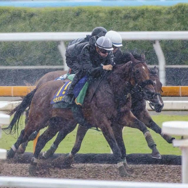 ディズニープリンセスのベビーグッズも大集合 宝塚記念追い切り】ベラジオオペラ6F81秒8―11秒2で余裕の先着 コレクション