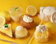洋菓子店｢クリオロ｣から、酸味が香る『レモンスイーツ』が大集合♪