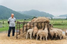 羊を育てることは、資源が循環すること。北海道白糠町の〈茶路めん羊牧場〉には羊料理レストランが併設