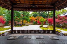 京都・紫式部ゆかりの地にたたずむ「廬山寺」で、優美な源氏物語の世界と紅葉を満喫♪
