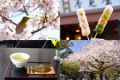 桜満開の鎌倉でお花見しながら楽しむおだんご＆桜餅♪つくりたて焼きたてが嬉しいおすすめのお店5選