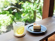 路地の多い鎌倉・長谷の楽しい街歩き♪縁側でくつろぐ古民家カフェをめぐる休日