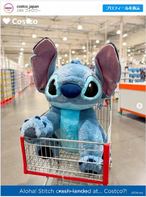 特大スティッチぬいぐるみの在庫情報:コストコで在庫番
