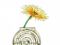 【4月18日の花】スターダスト  ガーベラ記念日には大輪の品種を