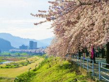 【2024年版】  いつか行きたい！ 日本の春の絶景  〜北海道・東北〜全70スポット！