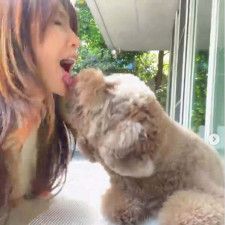 工藤静香、愛犬とのほっこり戯れ動画が大反響「みていてホッコリ幸せ」