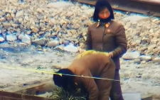 北朝鮮の女子高生が「骨と皮だけ」にされた禁断の行為