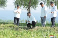 「国のせいで作物が壊滅」北朝鮮”お役人農業”のポンコツ度