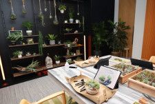 Apple Intelligenceを体験するワークショップに行ってきた