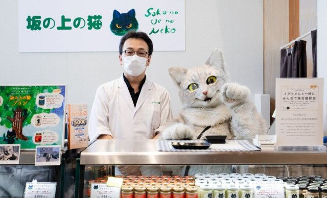 松山発・行列のできるプリン店　アルバイト猫「ミクちゃん」はなぜ電卓を使えるのか