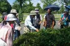 国営昭和記念公園　自然観察ツアー（5月）