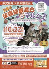 百町保護猫譲渡会＆マルシェ（10月）