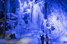 冬の奥入瀬氷瀑ナイトツアー（十和田湖発着）