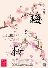 テーマ展示「梅と桜」