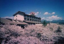 【桜・見ごろ】神の湯温泉100本の桜