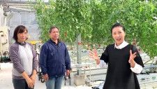 江戸から続く農園　ミニトマト収穫体験＆善玉先生特製「食して癒す健康弁当」付きツアー