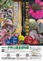 姫路市立手柄山温室植物園　サボテンと多肉植物展