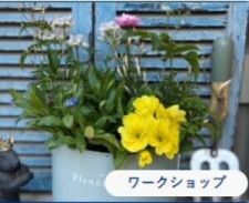 国営昭和記念公園　花とみどりの寄せ植え教室「ポタジェコンテナ」