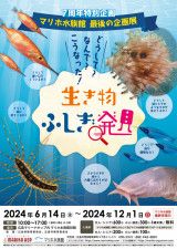 マリホ水族館7周年特別企画展「生き物ふしぎ発見」