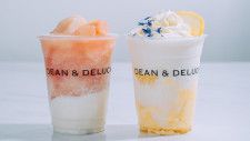 【DEAN & DELUCA】ハニーレモンフラッペ／白桃とローズヒップのフラッペ発売