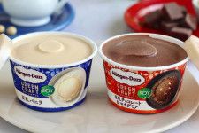 ハーゲンダッツの植物性ミルクアイス「グリーンクラフト」豆乳バニラ＆豆乳チョコレートが1都7県限定で