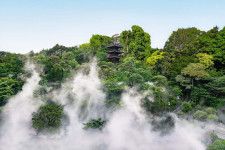 ホテル椿山荘東京「超雲海」庭園内に雲海が出現、“ミスト量2倍”でまるで水墨画のような絶景に