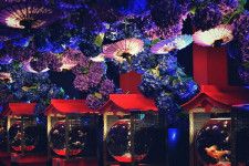 金魚アート「アートアクアリウム美術館 GINZA」梅雨イベント、“紫陽花×金魚”の幻想的な景色