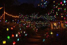 神戸・六甲山の夜間イベント「ひかりの森〜夜の芸術散歩〜」自然の中で楽しむ光のアート作品