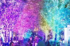 東京ミッドタウン日比谷“カラフルな光”に包まれるイルミネーション2023、7本のクリスマスツリーも