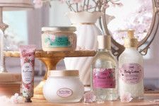 SABON「サクラ・ブルーム」24年春ボディケア、清らかに“桜香る”ボディスクラブやハンドクリーム(ファッションプレス) - goo ニュース