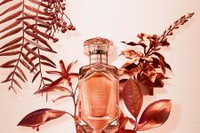 ティファニー24年春フレグランス、“ローズ ゴールドジュエリー”着想の香水がより深い香りに進化