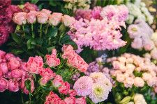 青山フラワーマーケット 南青山本店「バラ＆ガーベラ」が主役の花祭、“ローズ香る”ディフューザーも