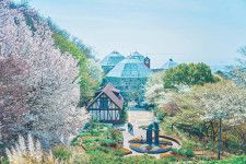 神戸布引ハーブ園でお花見 - 山桜と神戸の街並みを眺める展望エリア、手ぶらピクニックプランも