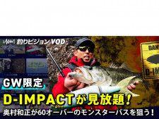 奥村和正『D-IMPACT』©釣りビジョン