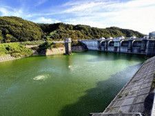 水面が緑色に染まった三春ダム。アオコは主に夏場に発生する（梅田教授提供）