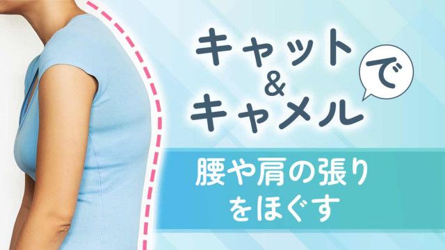 良い姿勢」と「ラクな姿勢」は半々が理想。週3日の姿勢改善ストレッチで姿勢のクセを直し、腰や肩のコリをほぐす(婦人公論.jp) - goo ニュース