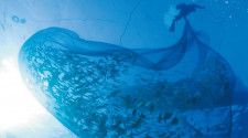 水深約20〜30メートルほどの海底に設置した網へと魚を追い込む（『コウケンテツの日本100年ゴハン紀行2』より。伊良部漁業協同組合提供）