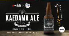 【一風堂×UTAGE BREWING】製造過程で出てしまう麺の端材を原料としたクラフトビール「KAEDAMA ALE」を2023年8月29日（火）に発売！
