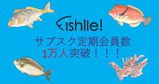 未利用魚・天然魚のサブスク「Fishlle!（フィシュル）」サブスク定期会員数１万人が1万人突破！