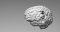 イーロン・マスク氏「人間の脳にニューラリンクのチップを埋め込んだ」と発表！