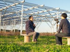 ソーラーシェアリングは農家の未来像？　電気も農作物という考え方からPR策を考える
