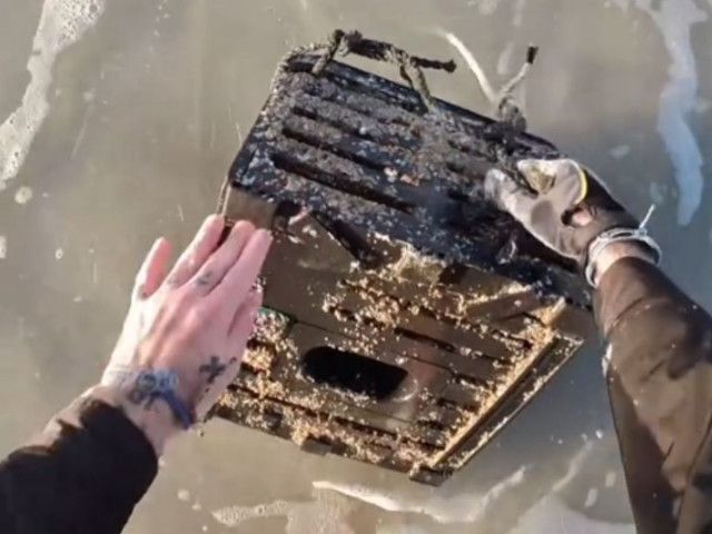 海岸に打ち上げられた『箱』　ゴミかと思ったら…？「ラッキーだったね」