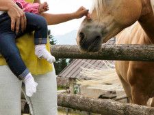 「こんな面白い馬を初めて見た！」　無表情の赤ちゃんを見た馬が…？
