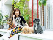 女優浅田美代子さんがぶつかった年齢の壁！保護犬との出会いと家族になるまでの道のり