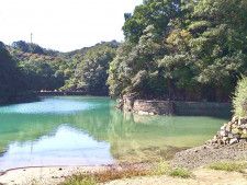 【23年4月OPEN】徳島県「4491Base」は海がすぐ横のキャンプ場！海鮮料理や釣りが楽しめる